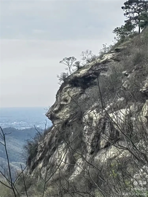 ʨɽν