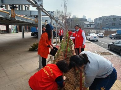 荥阳市豫龙镇万业社区开展“拥抱春天 播种绿色”植树节活动