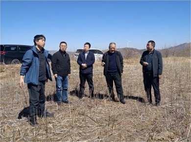 ɽ���������������������ϵר�ҵ���ָ�������ҵ��������չ